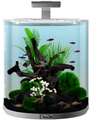 Tetra Aquarium: