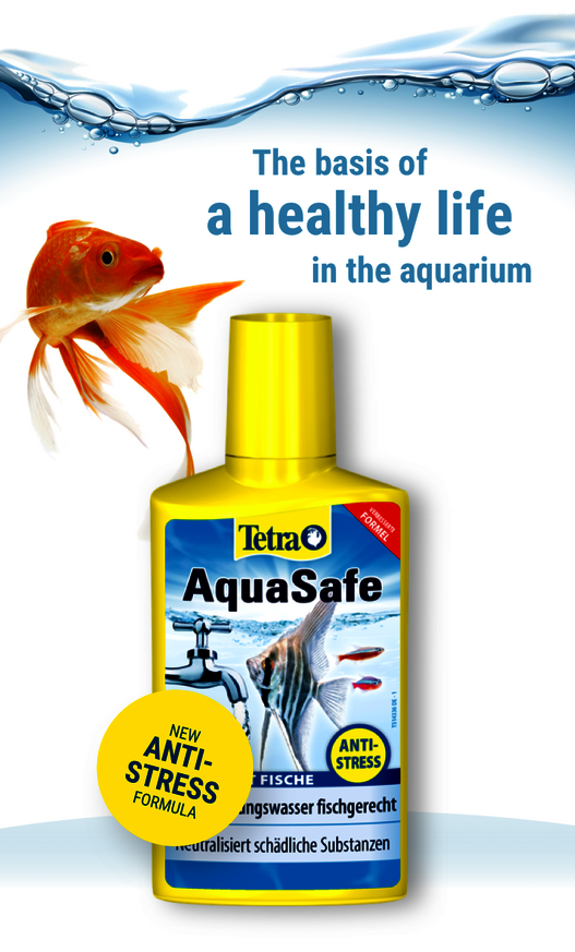Tetra AquaSafe pour une de ville saine pour vos poissons rouges