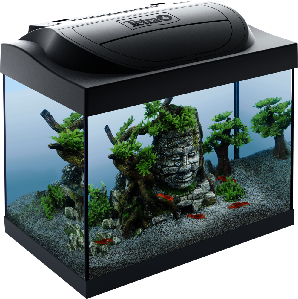 Tetra Starter Line LED 30 l Crayfish: Tetra