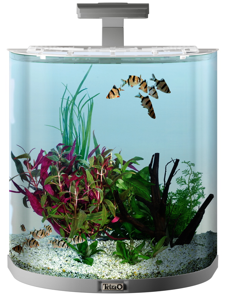 Tetra Aquaart Explorer 60 L : : Animalerie