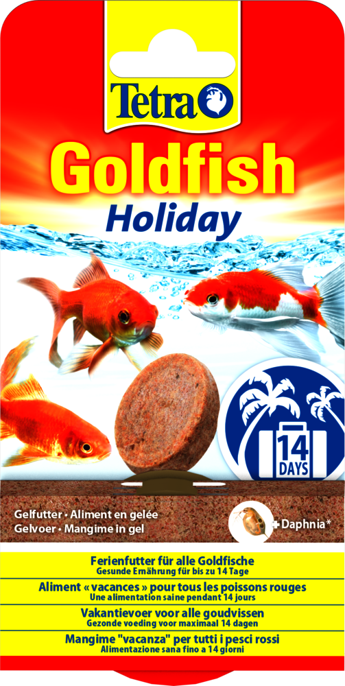 1 Bloc alimentaire vacances pour les poissons, Aquarium