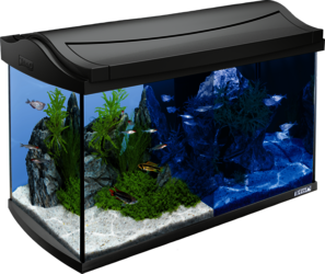 60L Tetra AquaArt LED set: Explorer aquarium Tetra Line