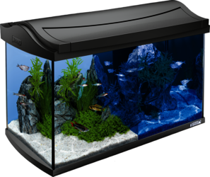 60L Tetra AquaArt LED Explorer Line aquarium set: Tetra