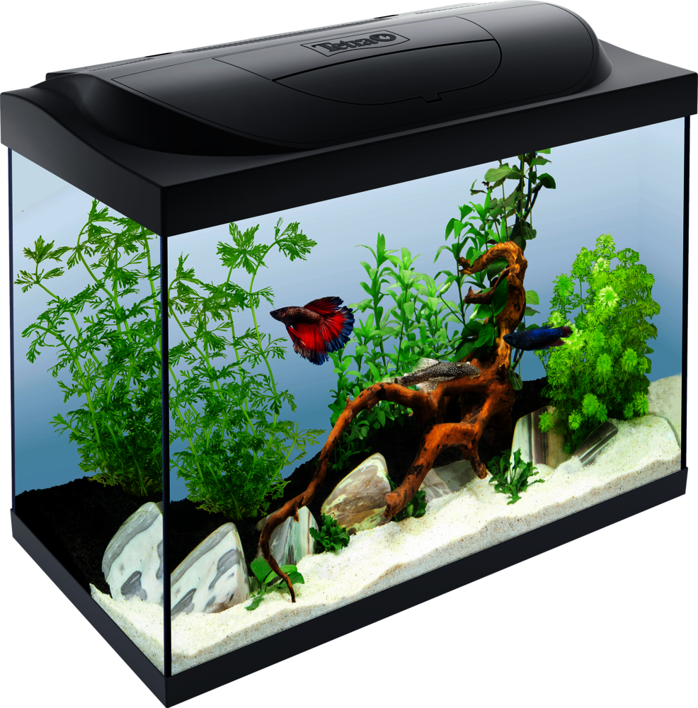 EHEIM vivalineLED – perfectly harmonised  EHEIM GmbH & Co. KG. Leading  aquarium manufacturer.