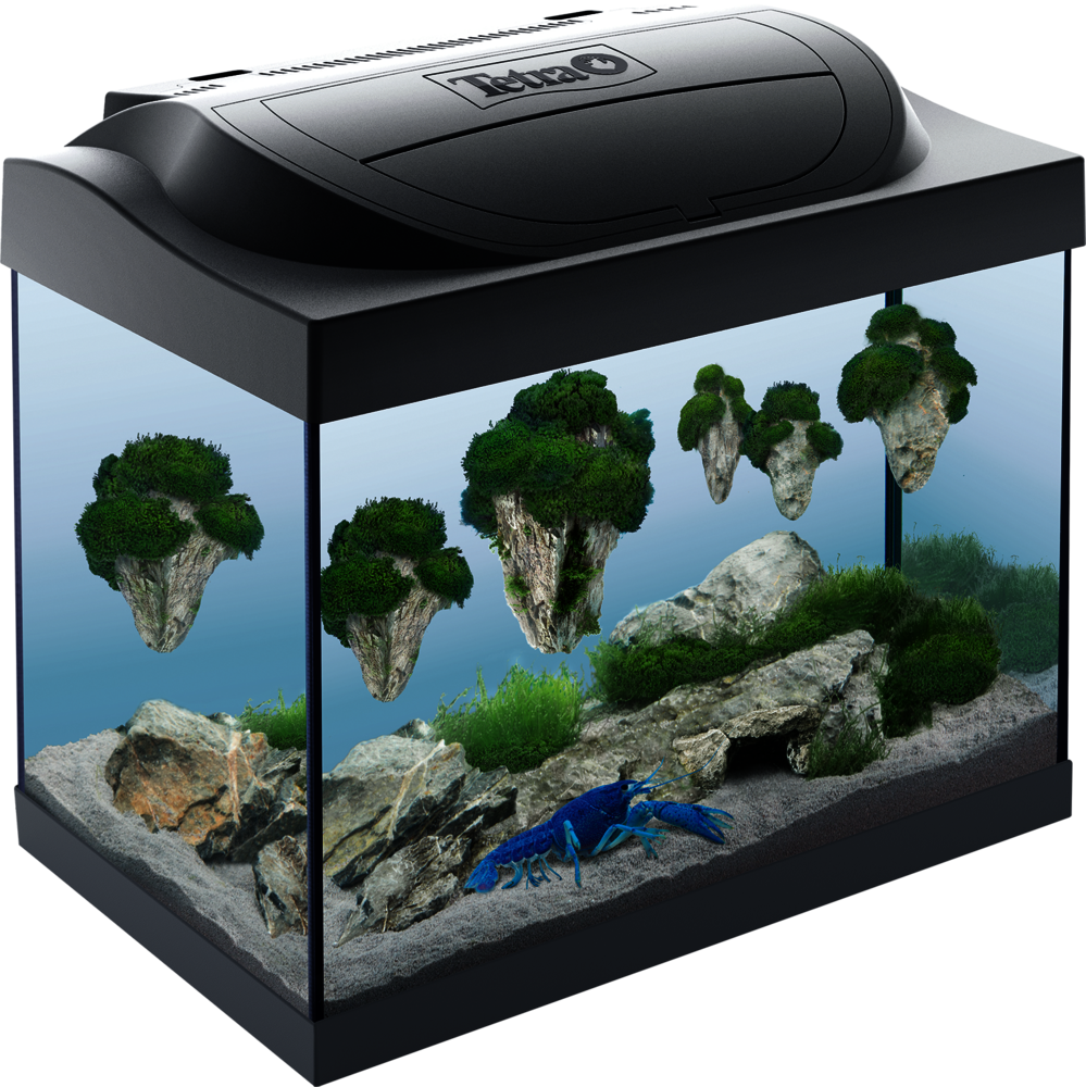 Tetra Acquario Starter Line Led Completo 30 Litri - 42 X 36 X 27 Cm