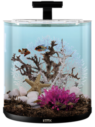 Tetra Aquarium: