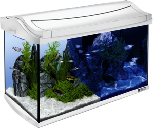 set: aquarium 60L Tetra Tetra Line AquaArt LED Explorer