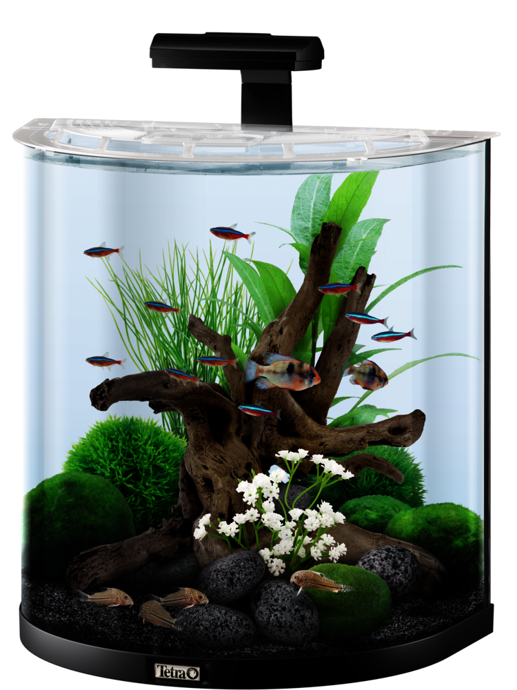 60L Tetra AquaArt LED Explorer Line aquarium set: Tetra