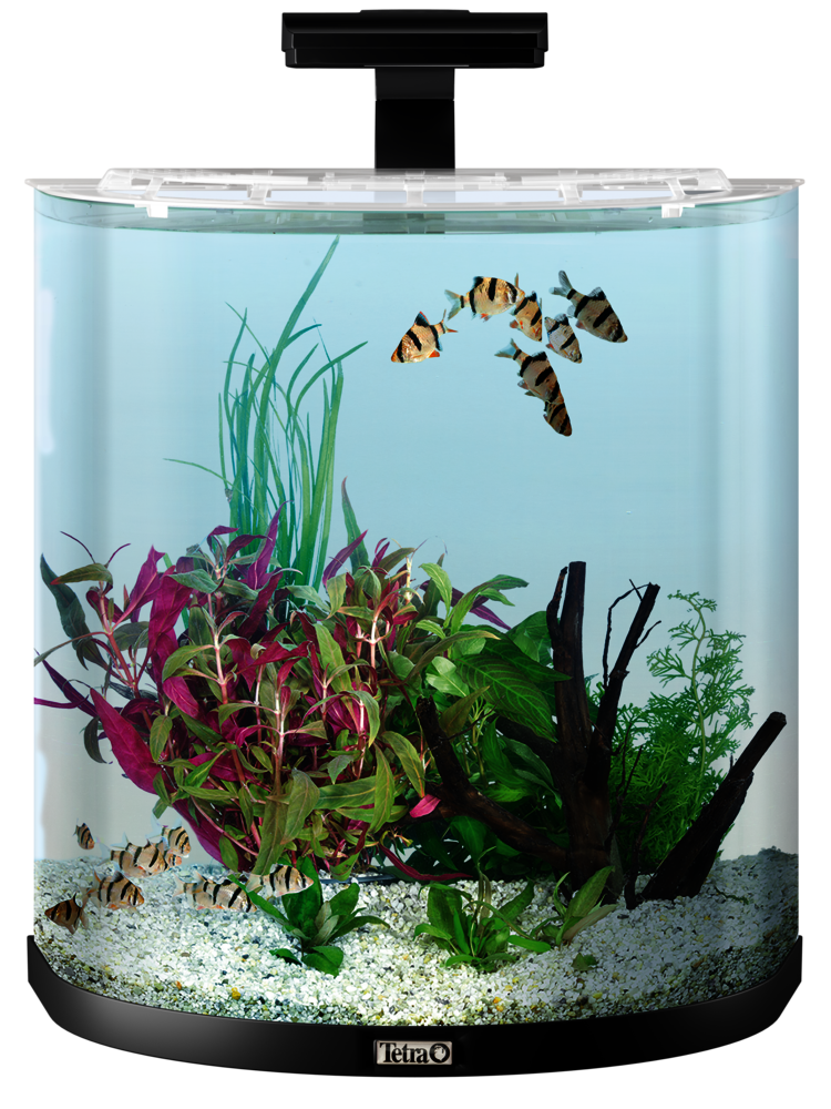Aquariumpflanzen Set 60l »Komplette Bepflanzung Aquarium
