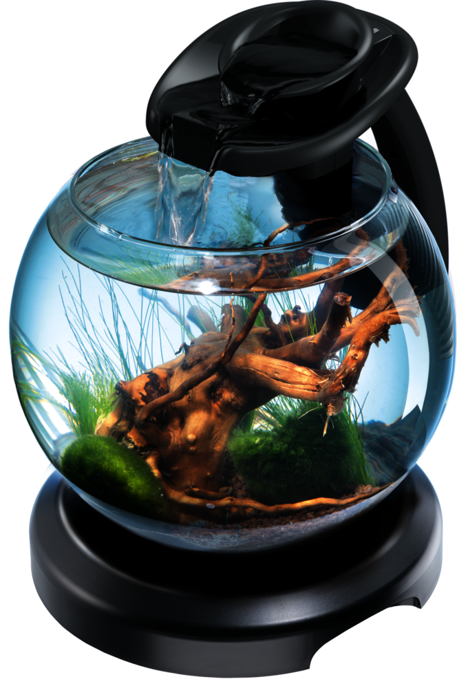 Aquarium pour poissons duo waterf globe noire TETRA : 1 pièce à