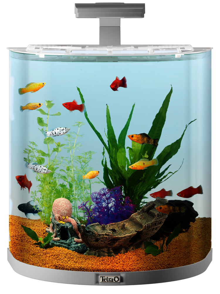 Tetra Aquaart Explorer 60 L : : Animalerie