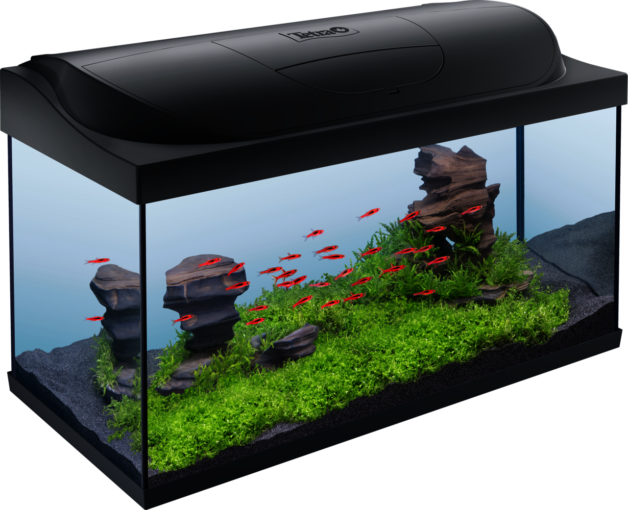 Aquarium Tetra Dein Aquarium Starter Line avec couvercle