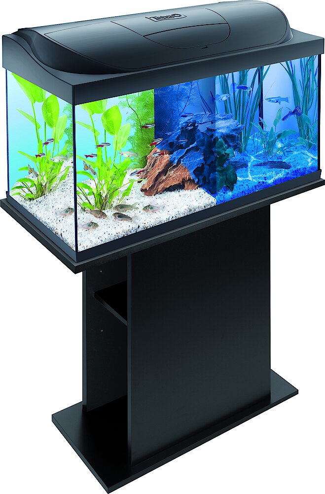 Biscuit uit creëren Tetra Starter Line LED 54L aquarium: Tetra