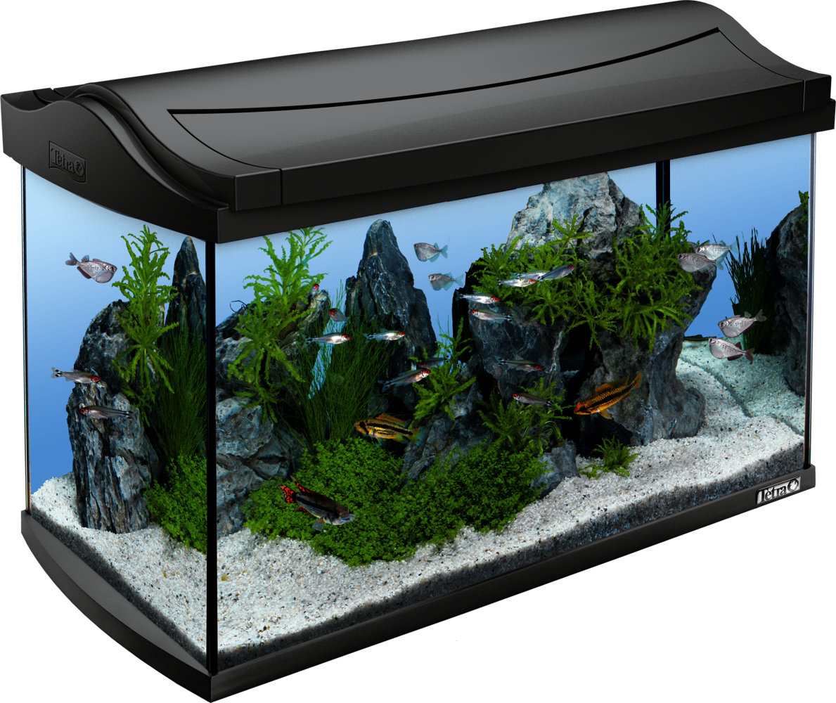 set: complete LED aquarium AquaArt Tetra 60L Tetra