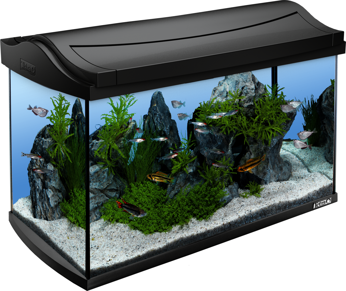 https://www.tetra.net/fileadmin/_processed_/d/0/csm_TL30186_9628_Aquarium_03_4b048039a6.png