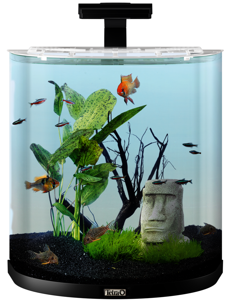 60L Tetra AquaArt LED Explorer Line aquarium set: Tetra