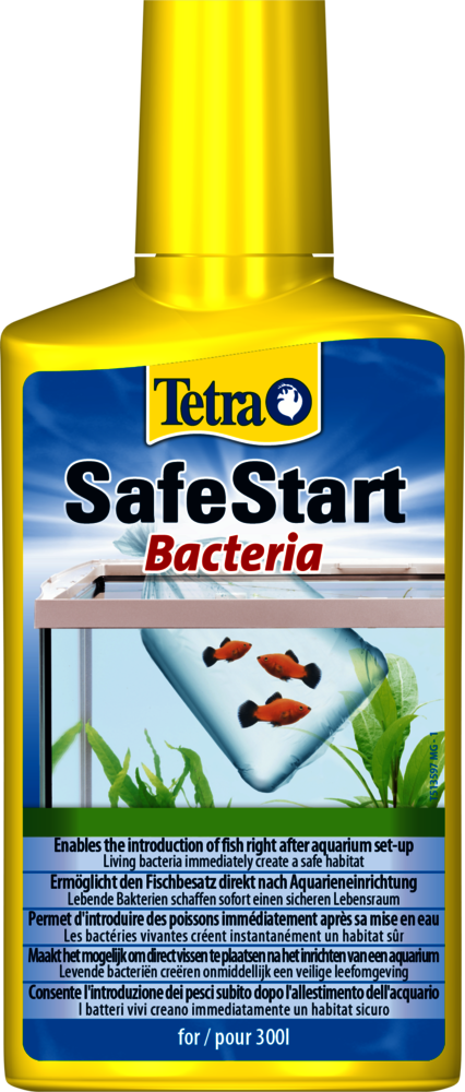 Bactéries vivantes TETRA SAFESTART BACTERIA 100ML