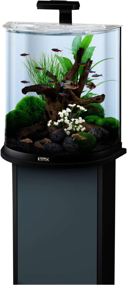 [Übersee-Standard] 60L Tetra AquaArt LED Tetra aquarium Explorer set: Line