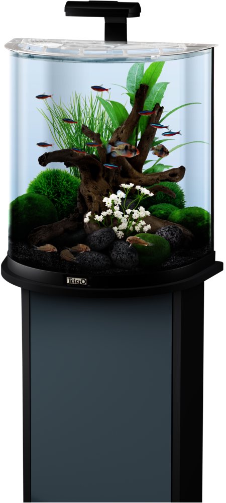 60L Tetra AquaArt LED Explorer Line aquarium set: Tetra