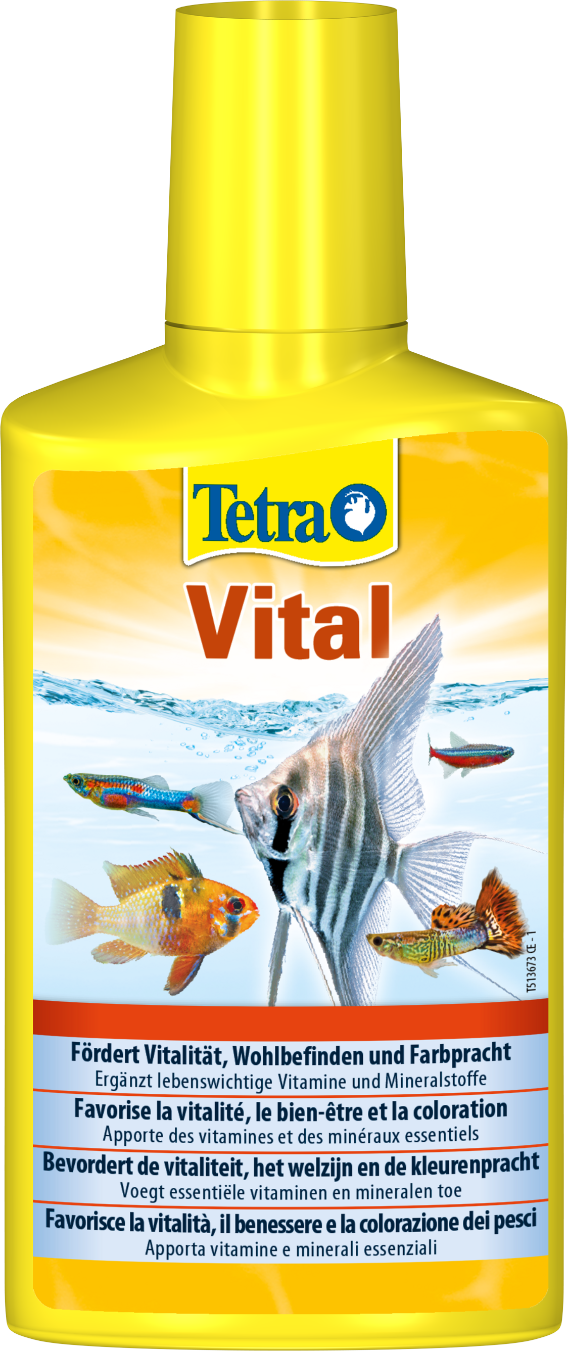 Vital: Tetra