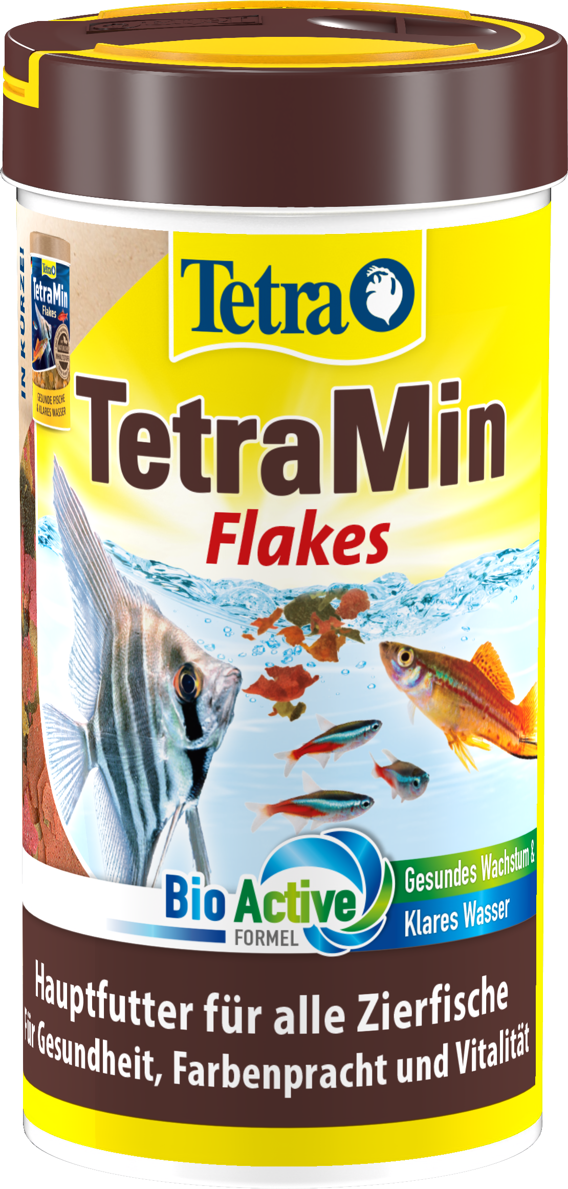 Introducing the Tetra® Brand Goldfish Program 