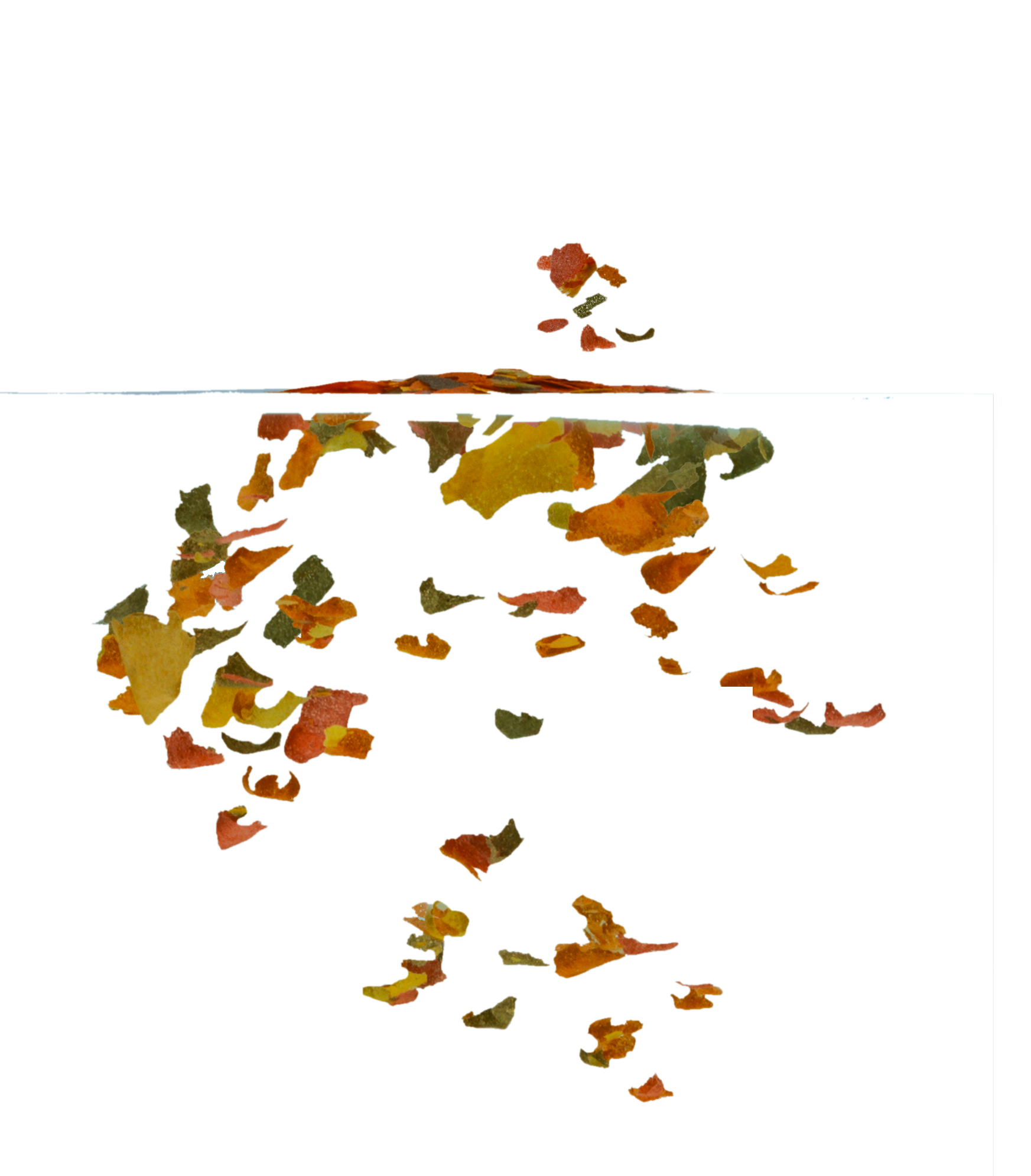 Tetra Rubin Flakes: Tetra