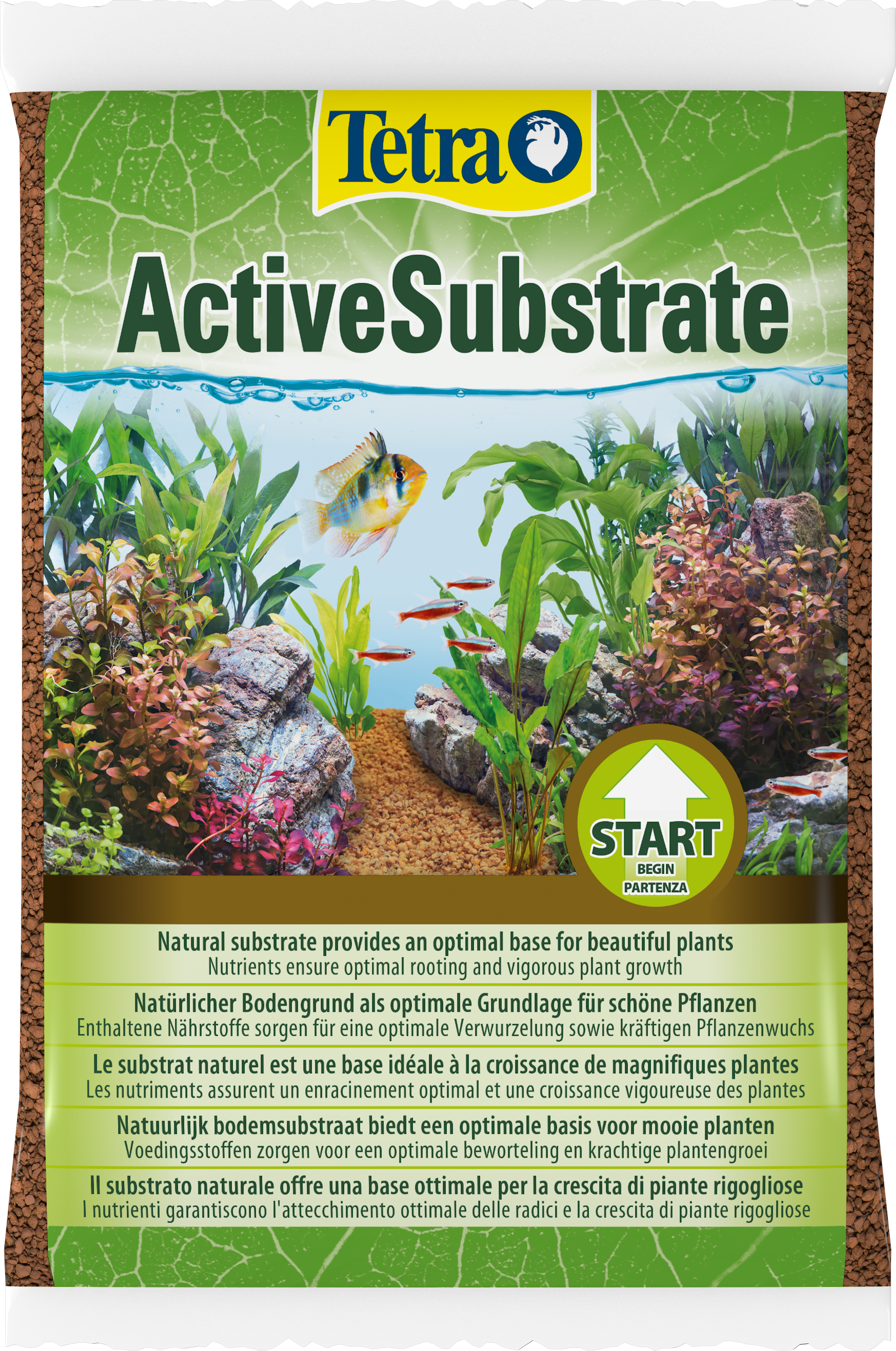 Qu'est ce que le substrat dans un aquarium? —