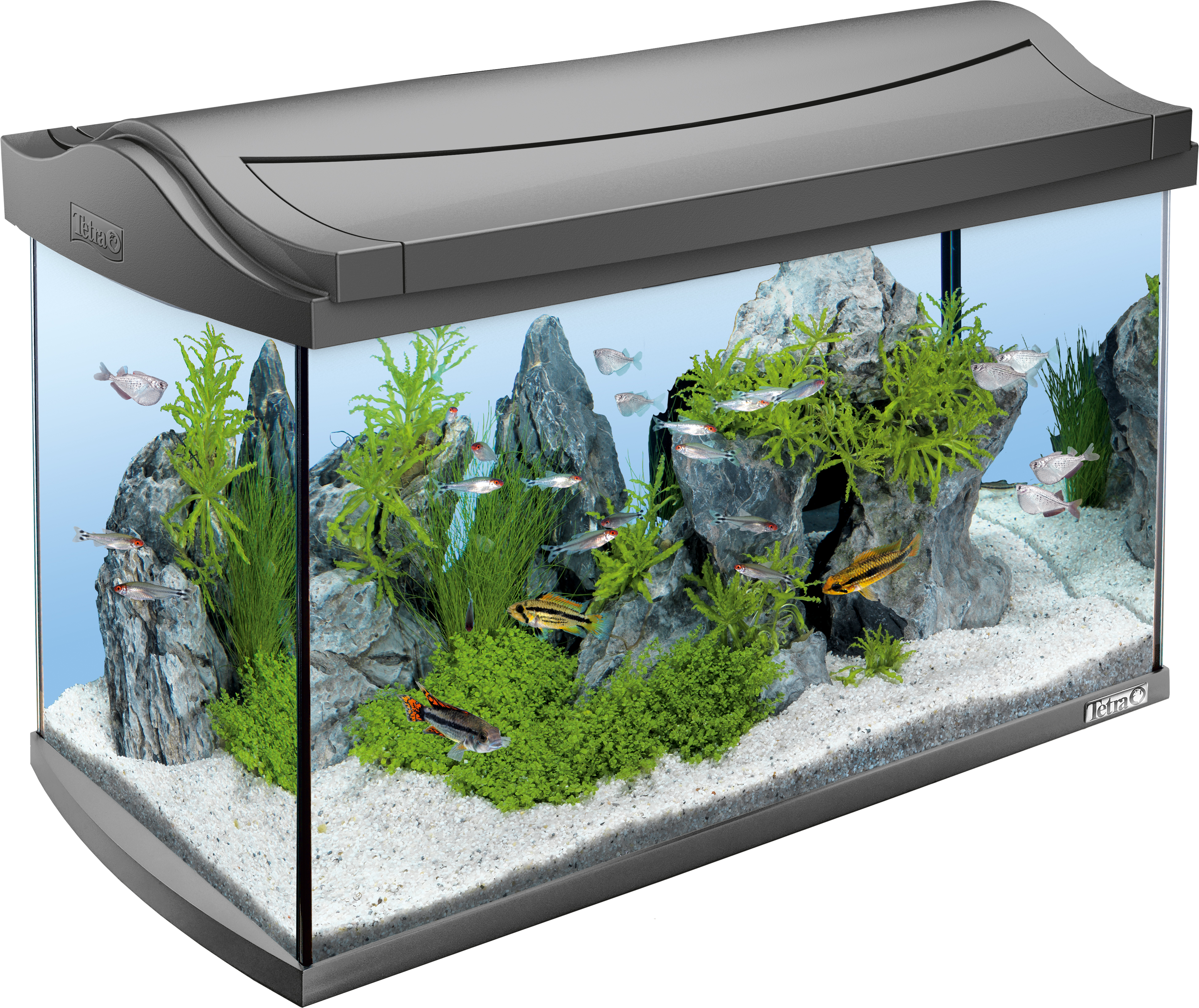 glemme Beskrive Et hundrede år 60L Tetra AquaArt LED complete aquarium set: Tetra