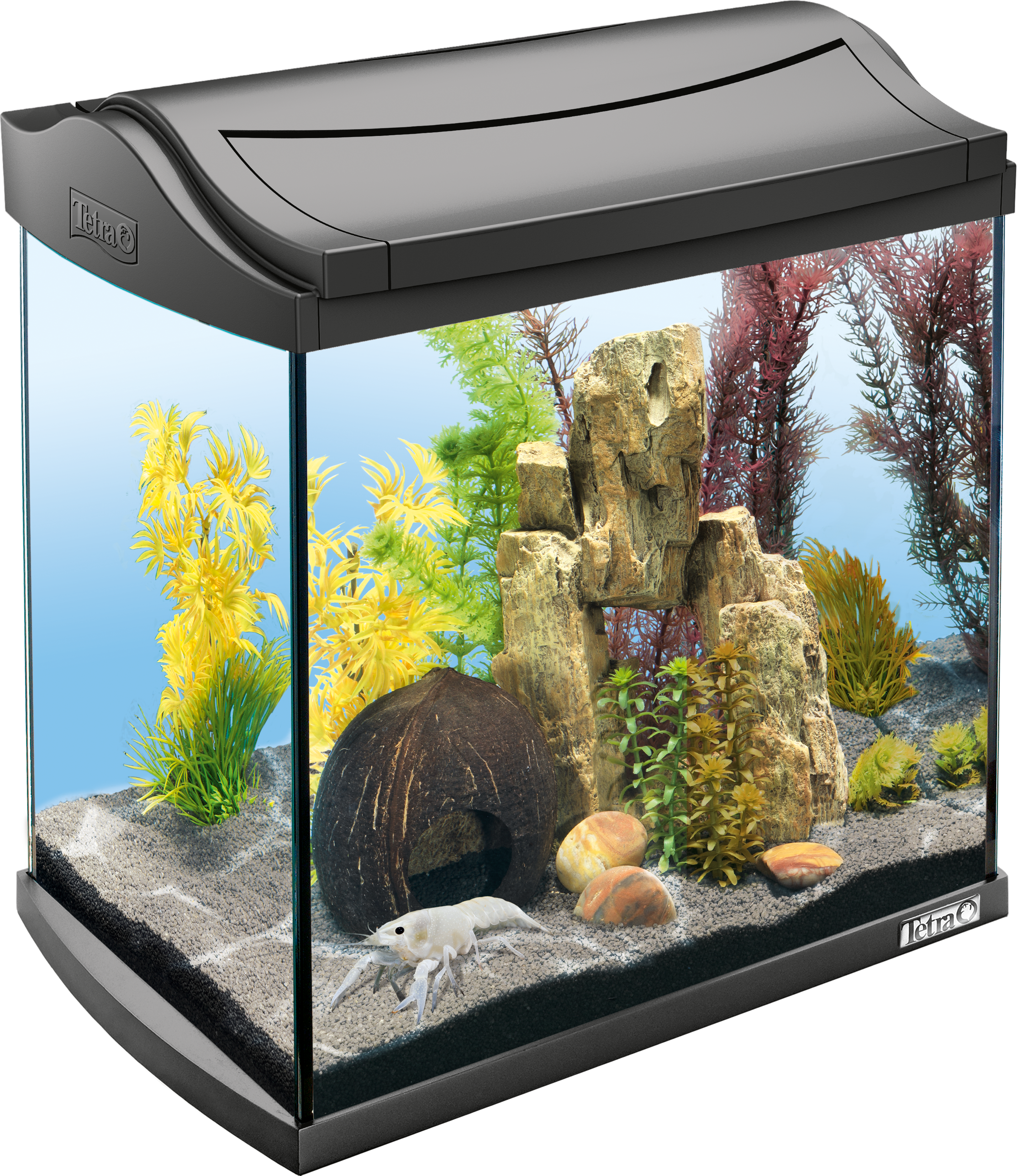 Albany twijfel Hoes 30L Tetra AquaArt LED aquarium - Crayfish: Tetra