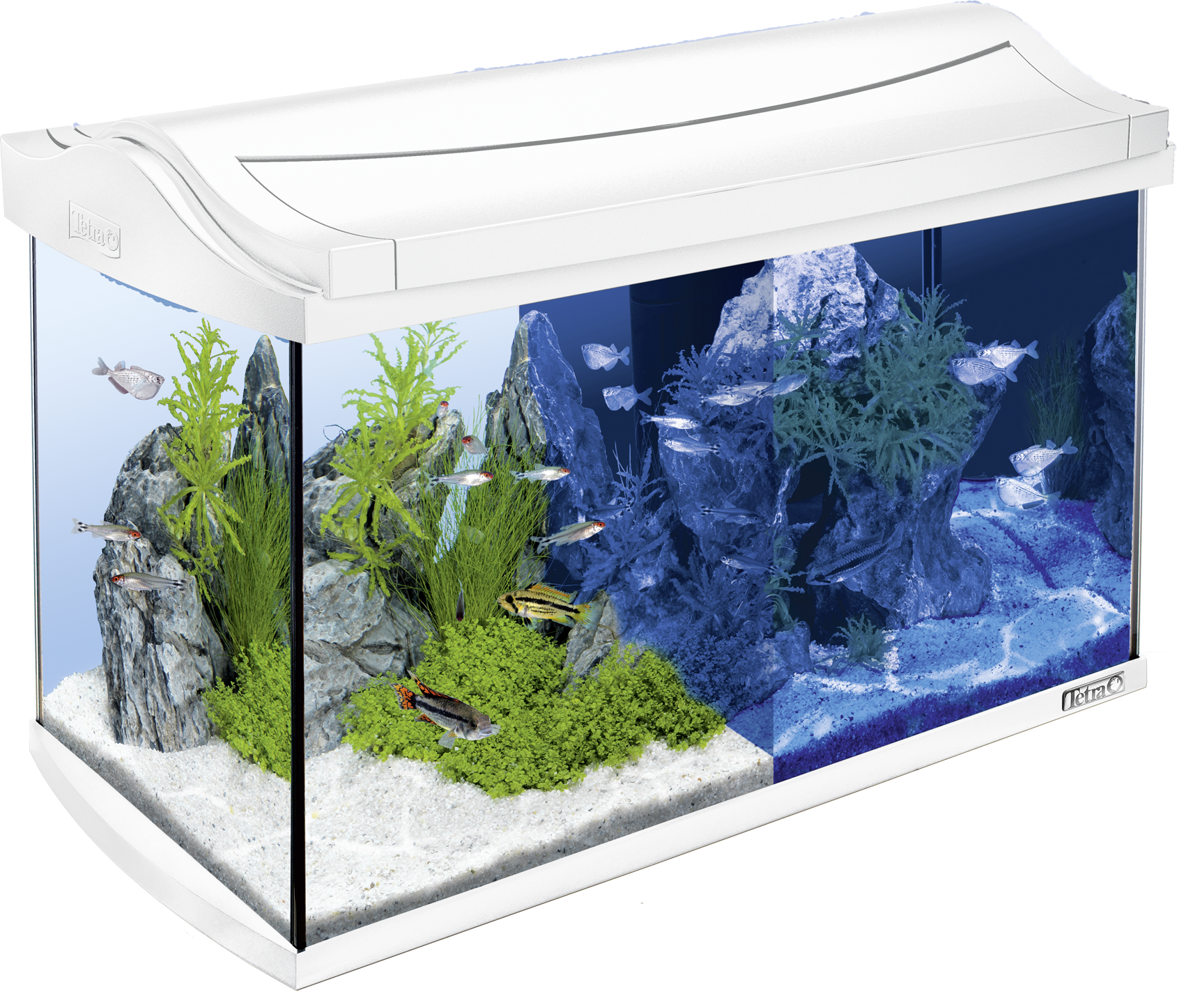 60L Tetra AquaArt LED aquarium White: