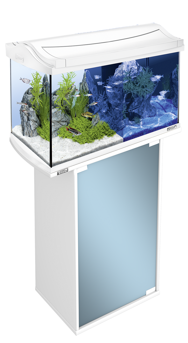 60L Tetra AquaArt LED aquarium White: