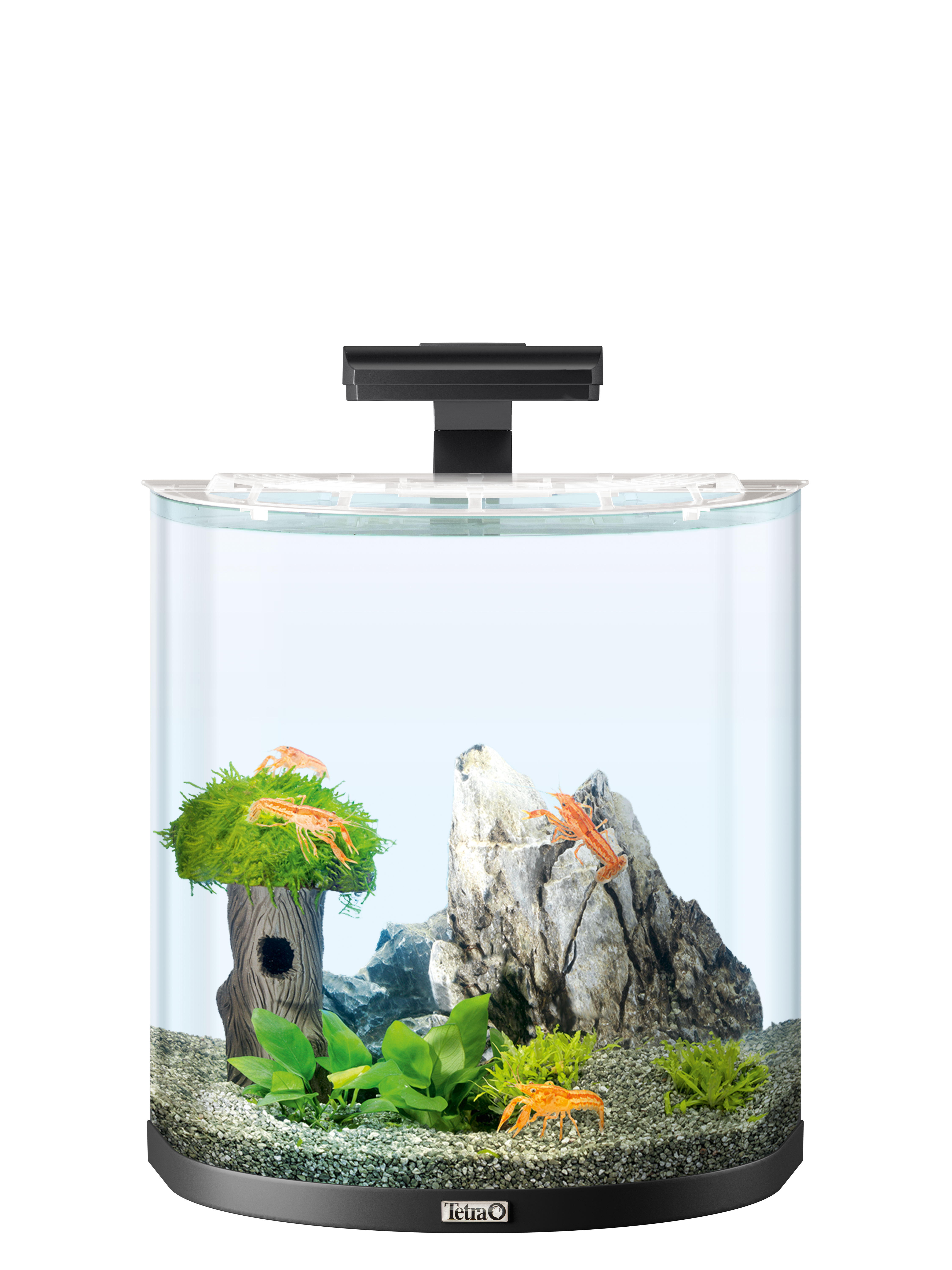 Explorer LED AquaArt set Tetra Crayfish: 30L - aquarium Tetra Line