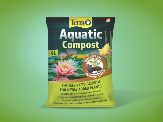 Tetra Plant Care